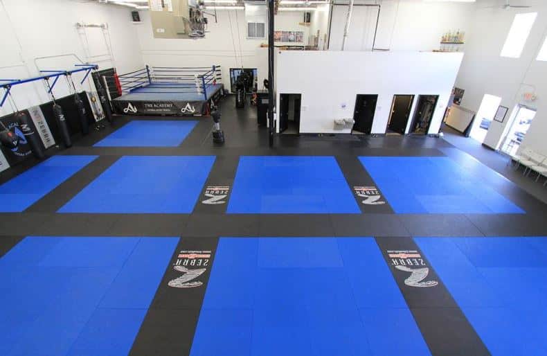 Transform Your Martial Arts Gym with Expert Renovation Services in Aurora, Ontario 3 martial arts gym renovation